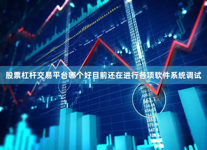 股票杠杆交易平台哪个好目前还在进行各项软件系统调试