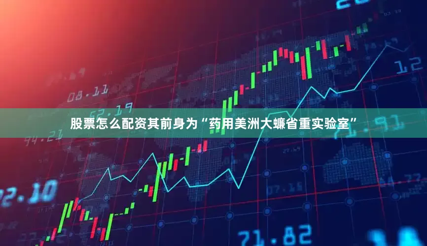 股票怎么配资其前身为“药用美洲大蠊省重实验室”
